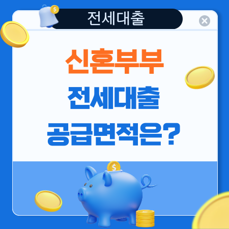 신혼부부 전세 대출의 공급 면적은 17 1